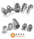 金刚澳龙公司 创新汽车附件的研发与批发